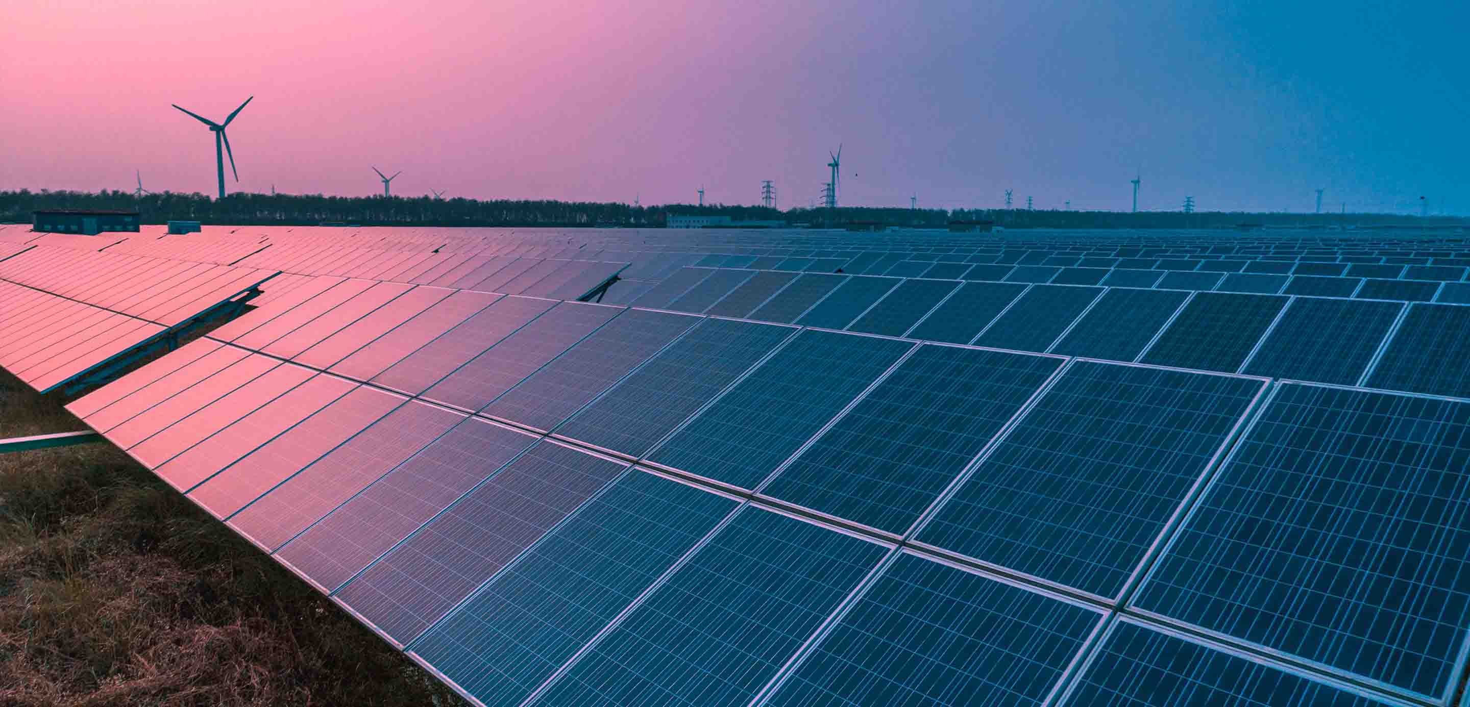 hsbc sustainability bank hsbc sustainability bank